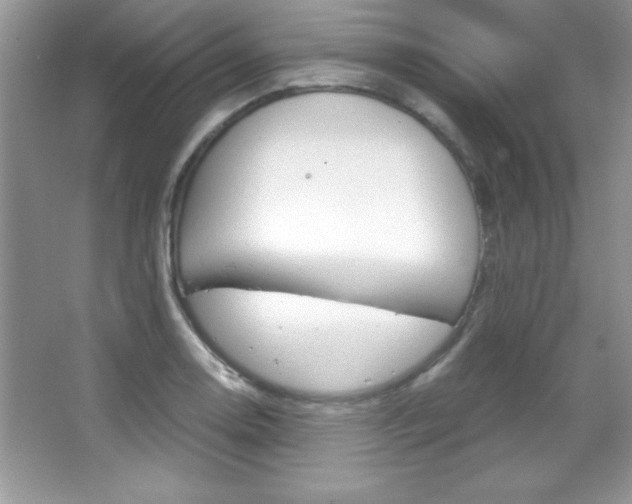 X0000067951130200604131156