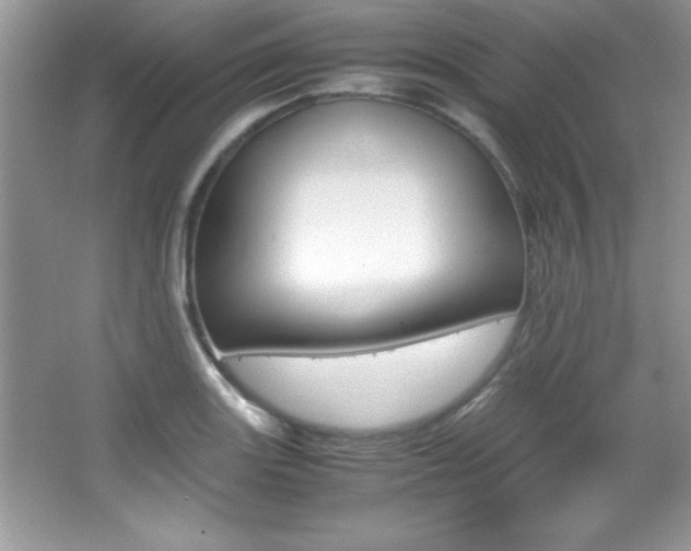 X0000067951131200604131156