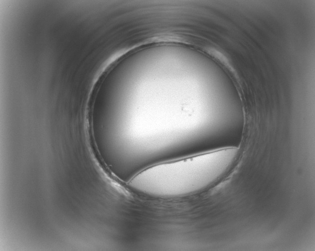 X0000067951133200604131156