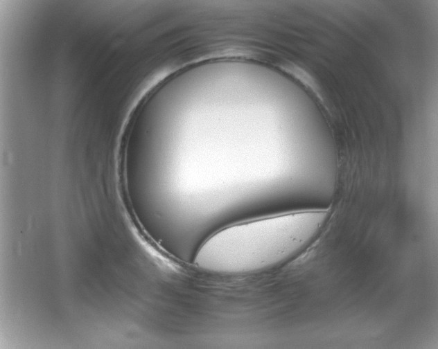 X0000067951135200604131156
