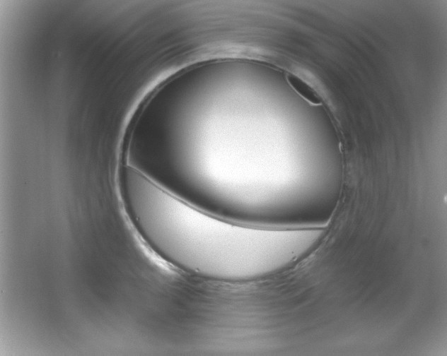 X0000067951136200604131156