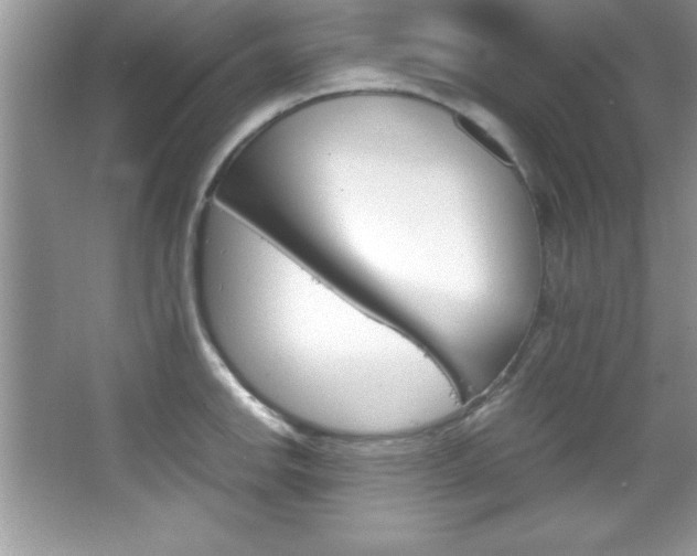 X0000067951142200604131156