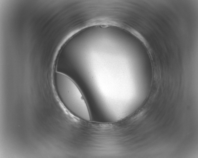 X0000067951144200604131156