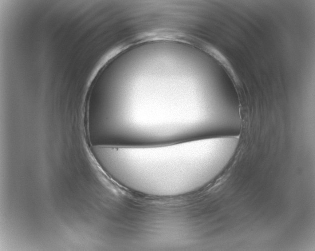 X0000067951146200604131156
