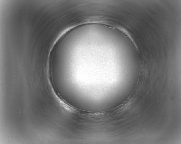 X0000067951147200604131156