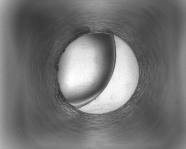 X0000067951153200604131155