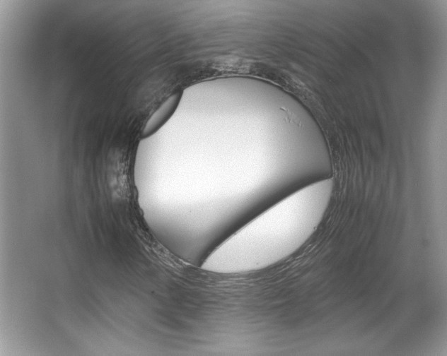 X0000067951154200604131155
