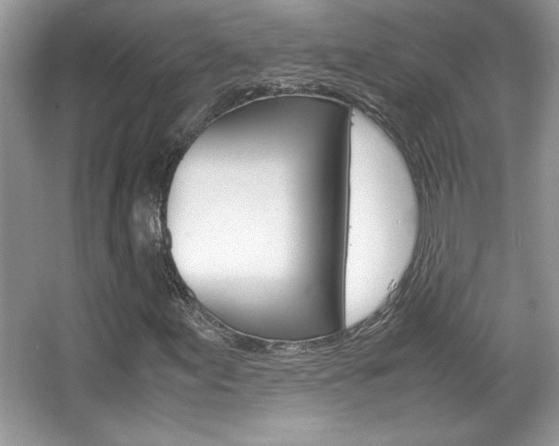 X0000067951155200604131155