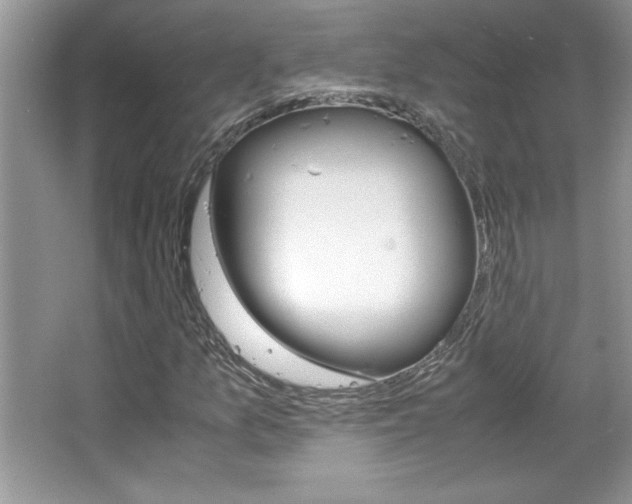 X0000067951157200604131155
