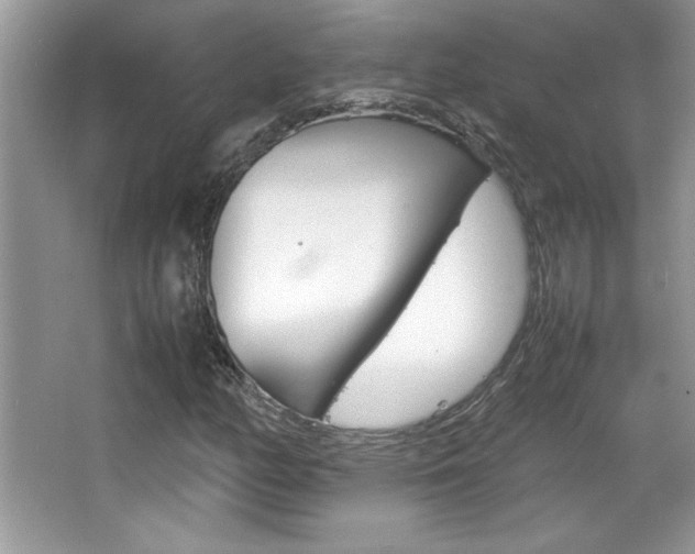 X0000067951158200604131155