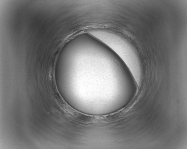 X0000067951161200604131155