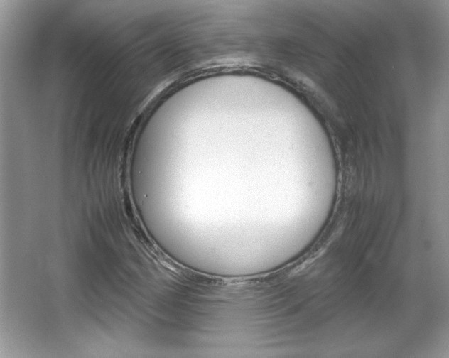 X0000067951162200604131155