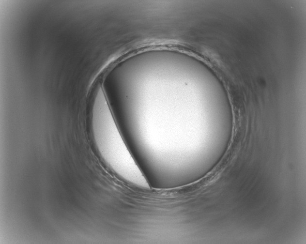 X0000067951165200604131155