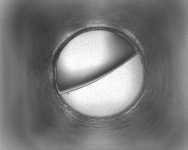 X0000067951167200604131155