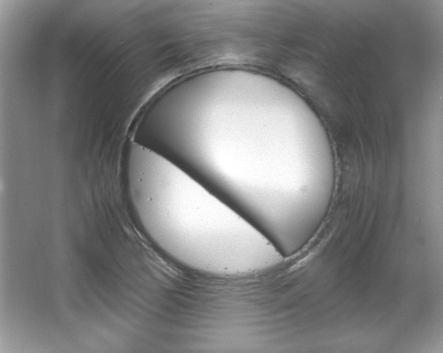 X0000067951170200604131155
