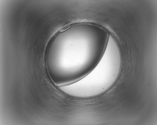 X0000067951173200604131155
