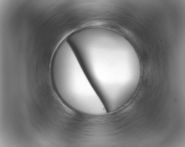 X0000067951178200604131155