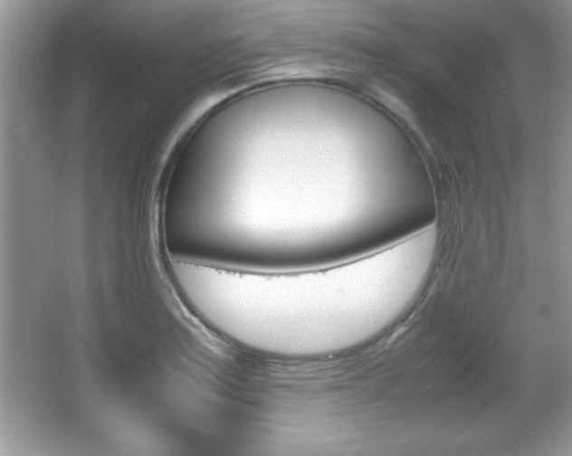 X0000067951179200604131155