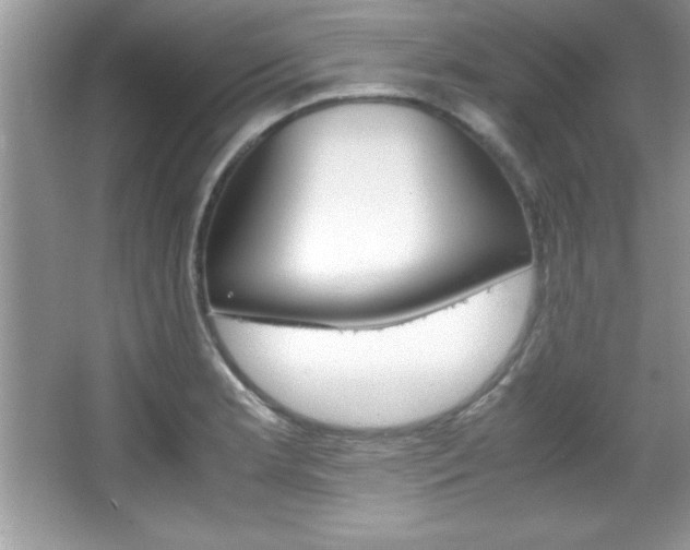 X0000067951181200604131155