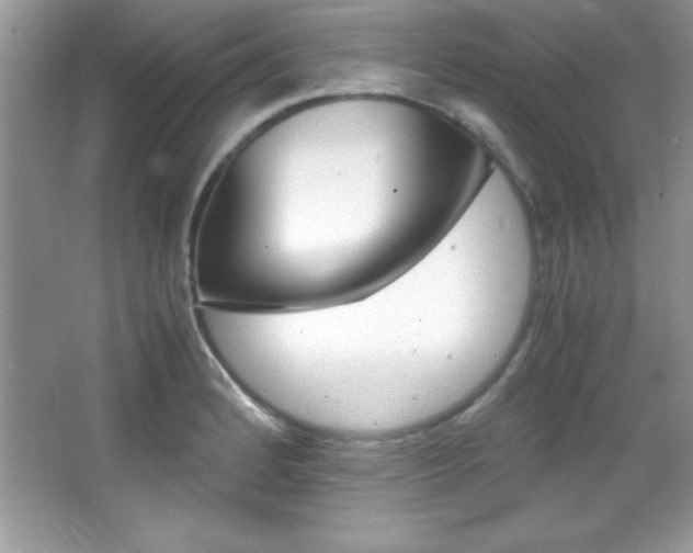 X0000067951184200604131155