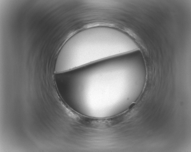 X0000067951185200604131155