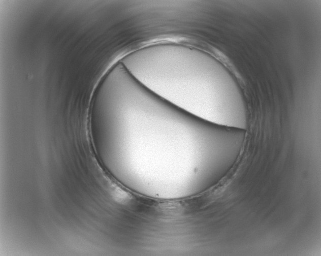 X0000067951186200604131155