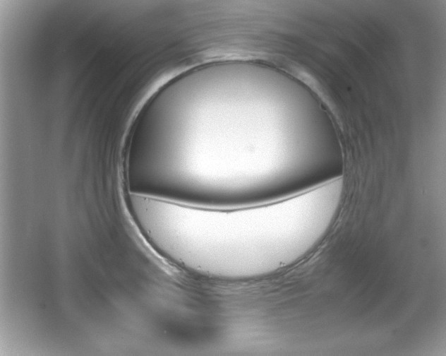 X0000067951187200604131155