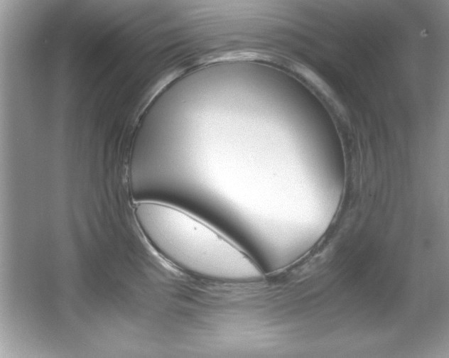 X0000067951193200604131155