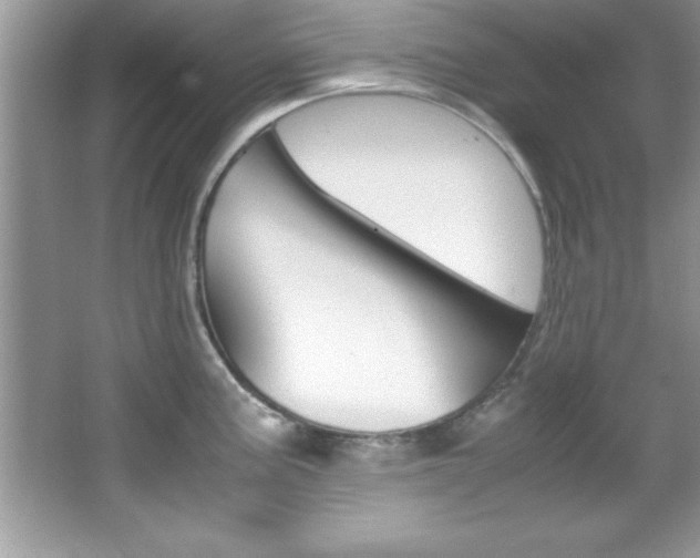 X0000067951195200604131155