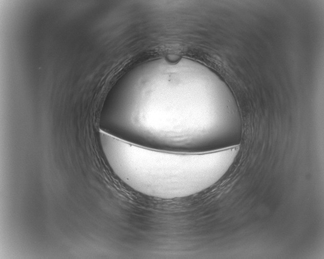 X0000067951201200604131154