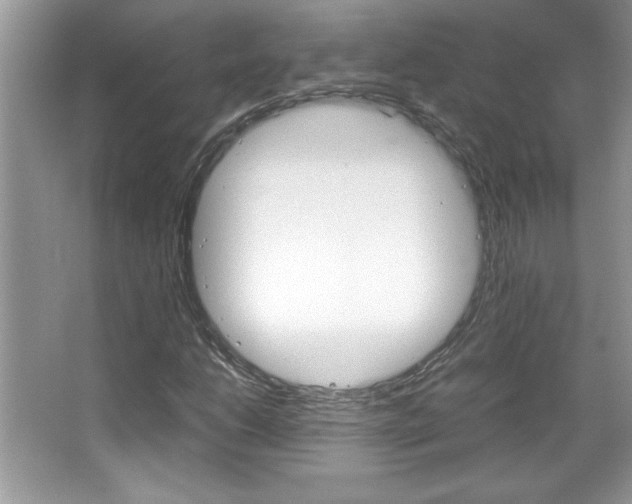 X0000067951206200604131154