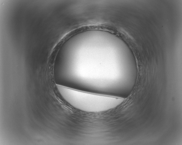 X0000067951208200604131154