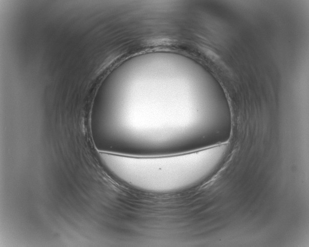 X0000067951209200604131154