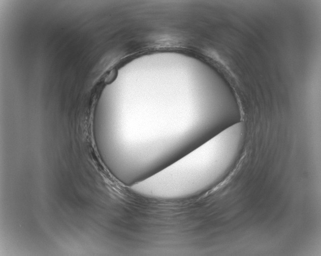 X0000067951211200604131154
