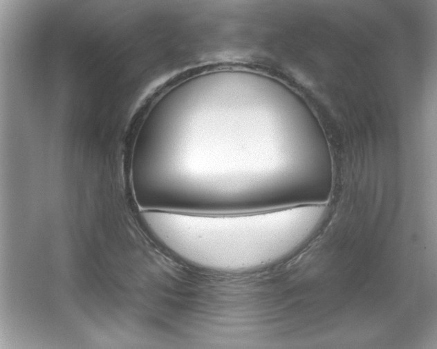 X0000067951214200604131154