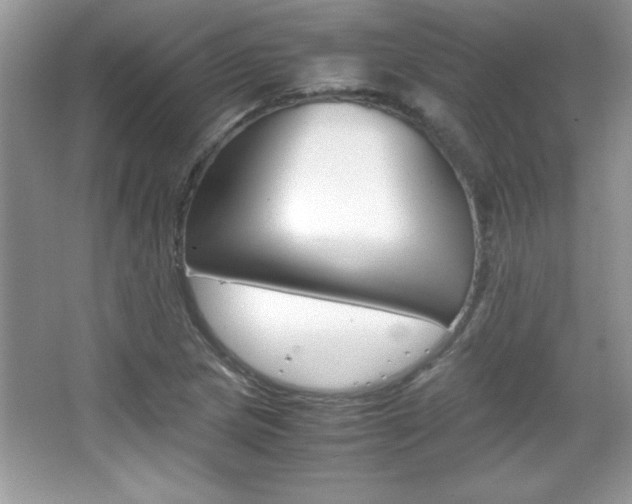 X0000067951217200604131154