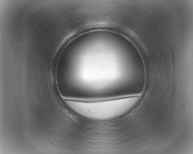 X0000067951218200604131154