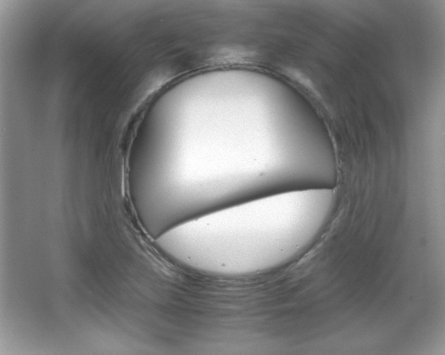 X0000067951219200604131154