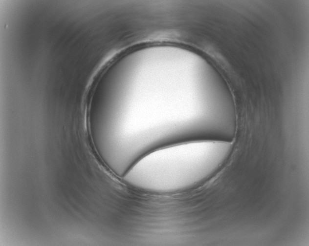 X0000067951224200604131154