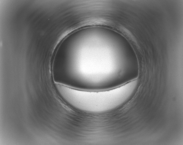X0000067951226200604131154