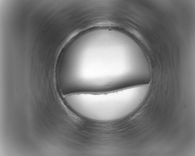 X0000067951229200604131154