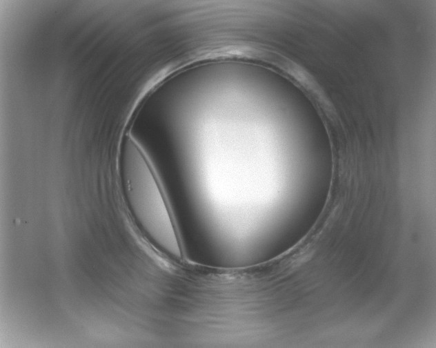 X0000067951234200604131154