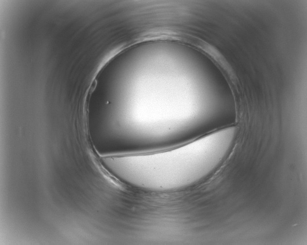 X0000067951242200604131154