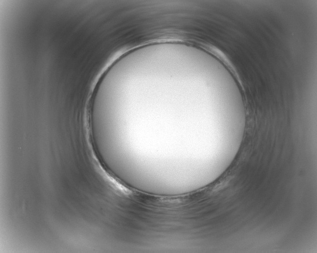 X0000067951243200604131154