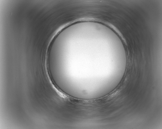 X0000067951245200604131154