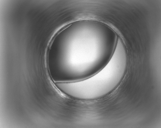 X0000067951246200604131154