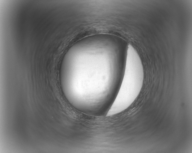 X0000067951249200604131154