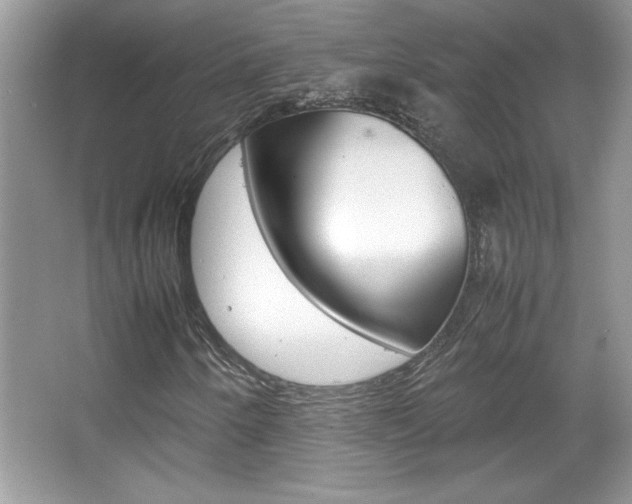 X0000067951250200604131154