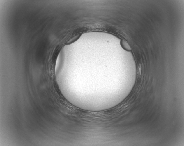 X0000067951251200604131154
