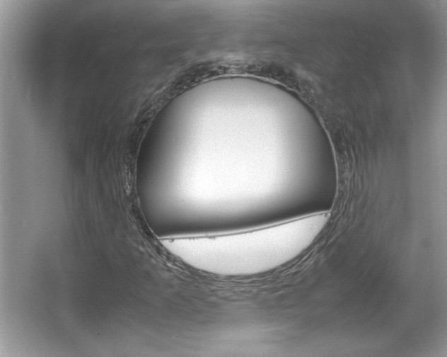 X0000067951253200604131154